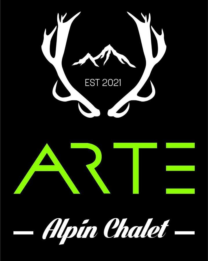 Alpin Chalet Arte Soll Exterior photo